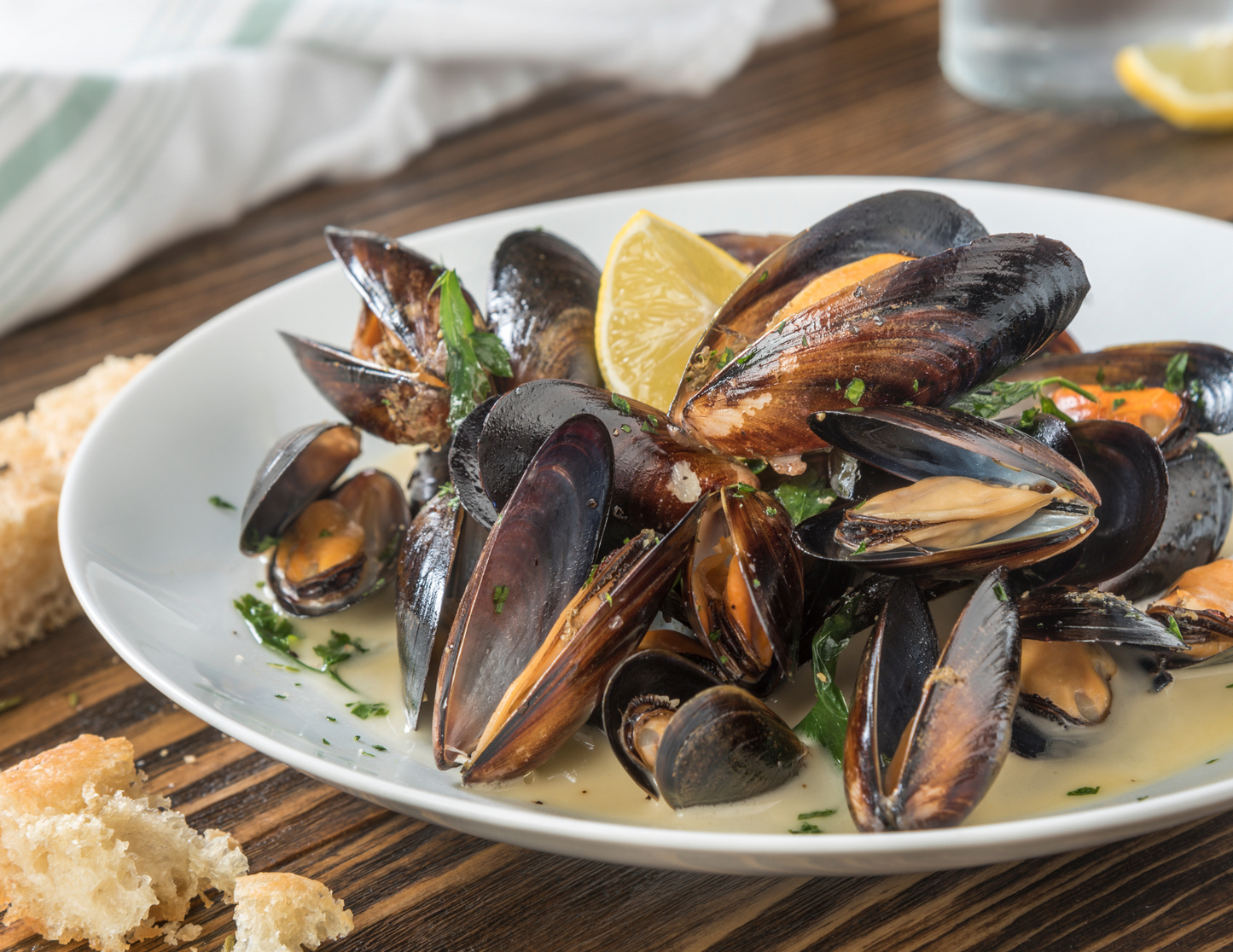 Chilean Black Mussels