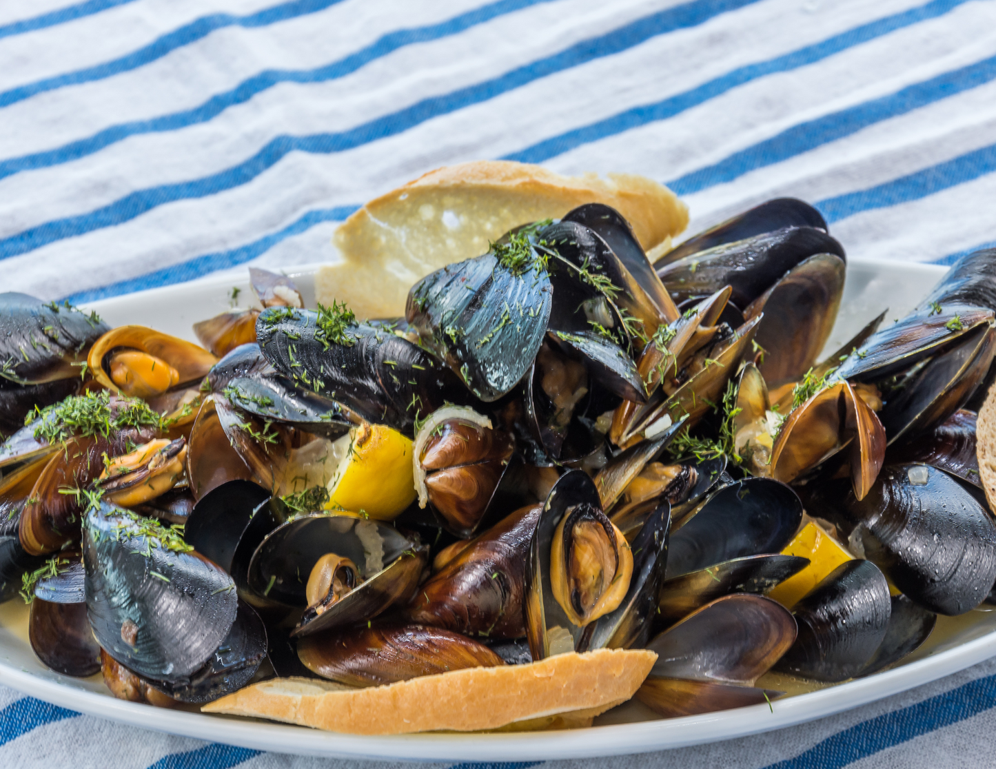 Chilean Black Mussels