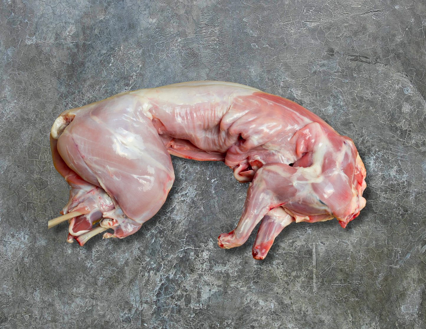 Whole Rabbit