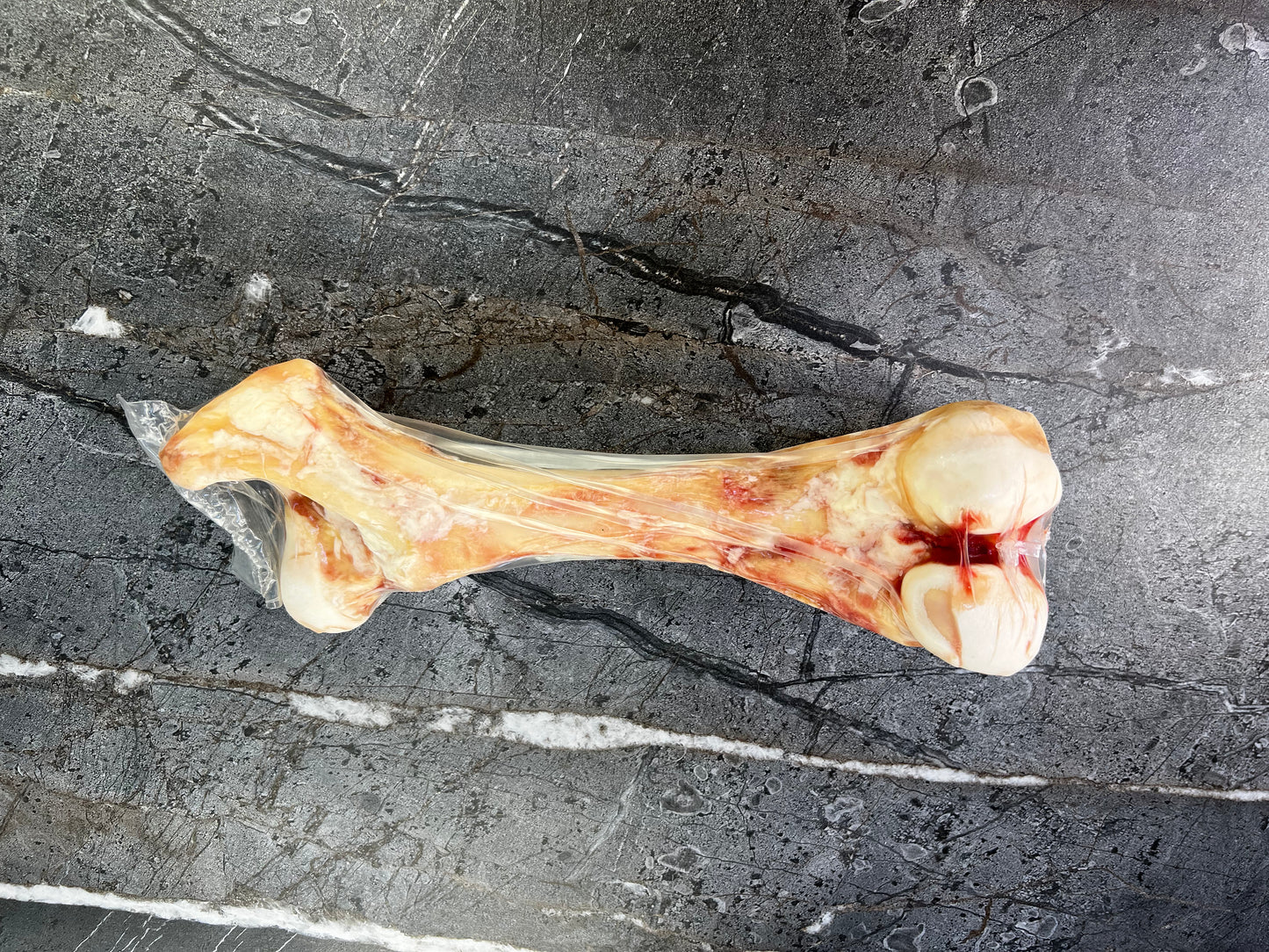 Femur Bone