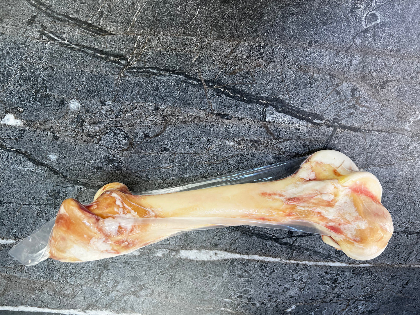 Femur Bone
