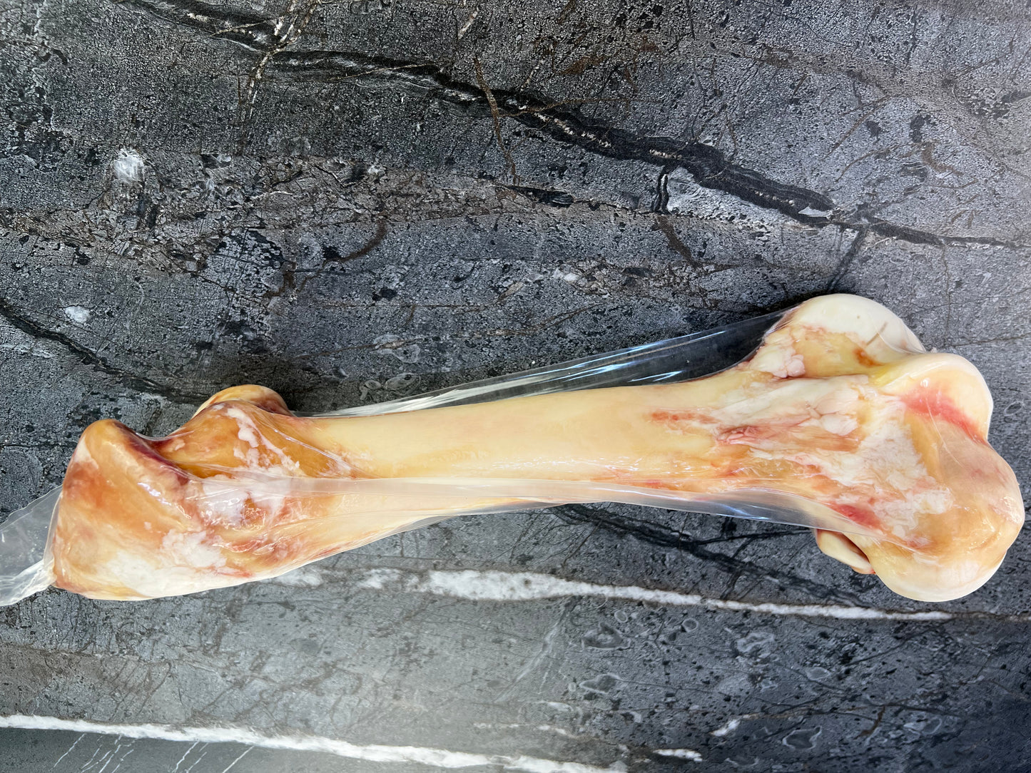 Femur Bone
