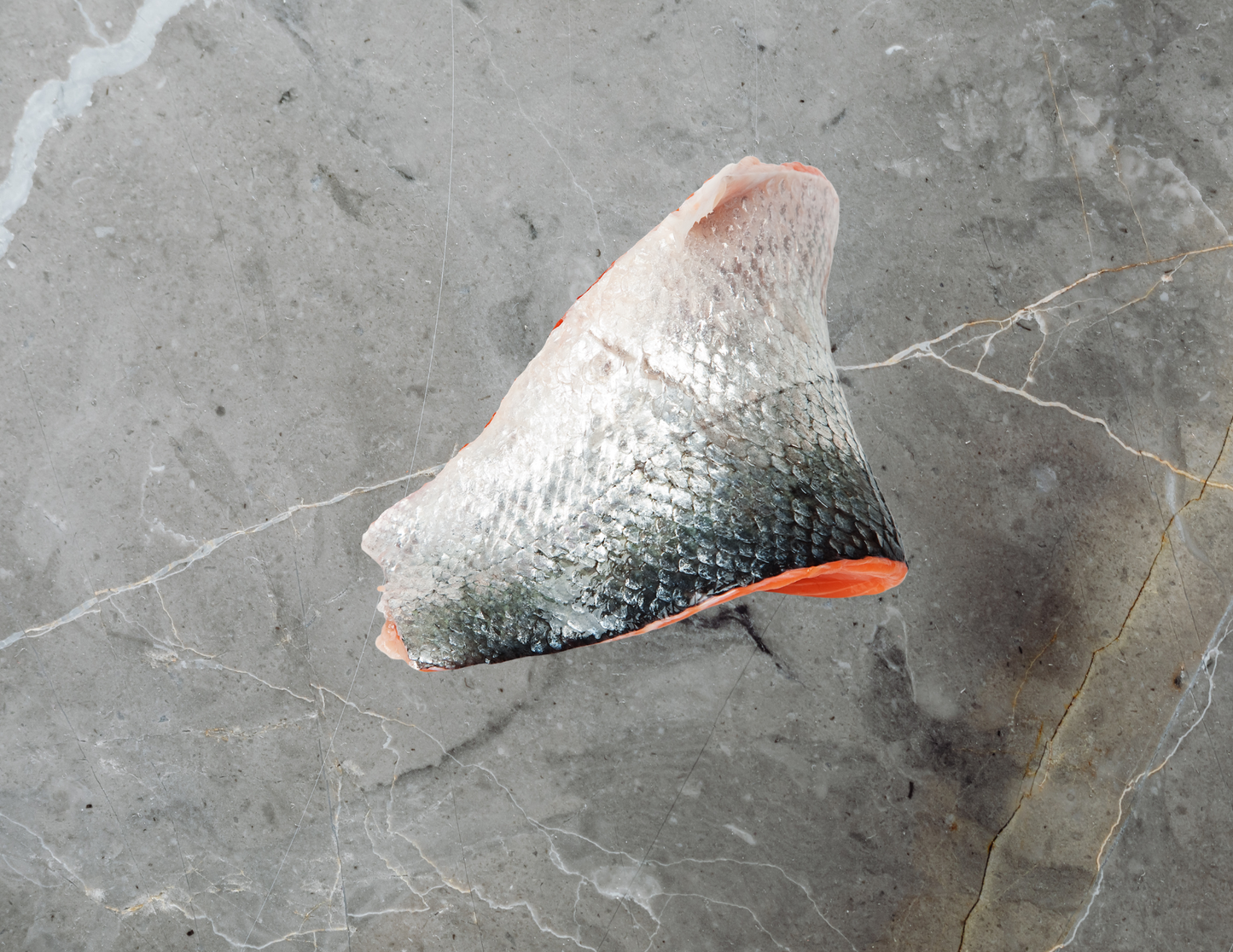 Salmon Skin SCALES ON