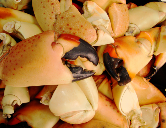 Jonah Crab Claws / Tenazas de Cangrejo