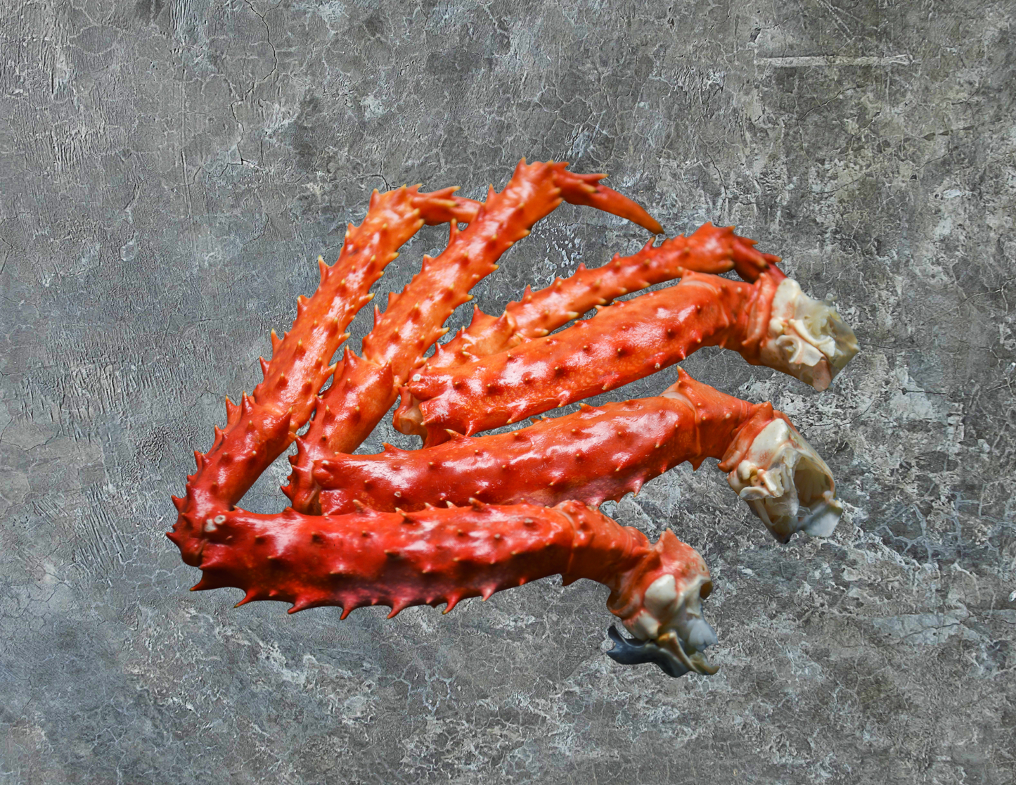 Alaskan Red King Crab