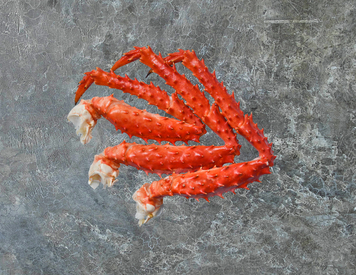 Alaskan Red King Crab