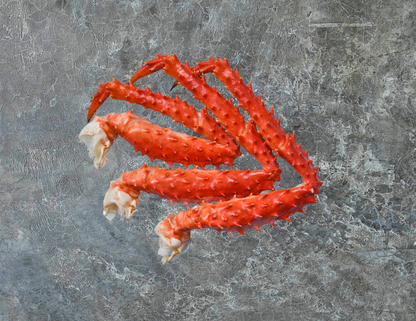 Alaskan Red King Crab