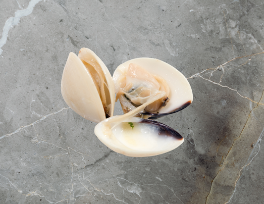 Frozen Cooked Whole White Clams