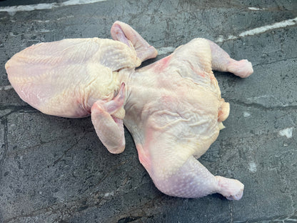 Bullfrog Chicken (Butterflied Whole Chicken)