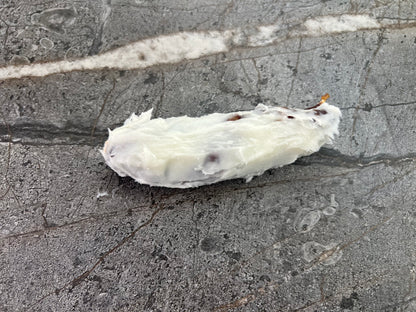 Salame Cacciatore Dipped in pork fat with Black truffles