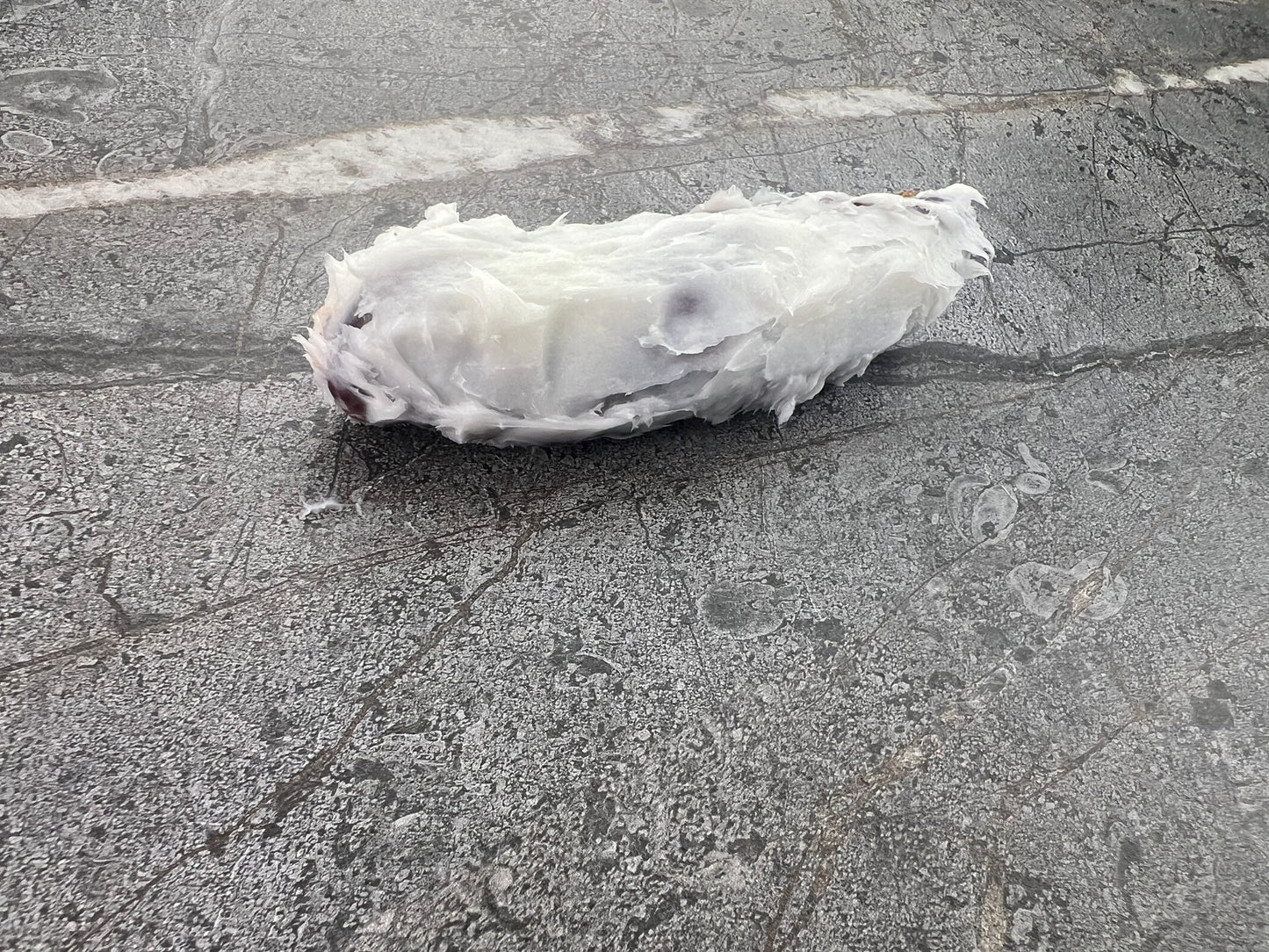 Salame Cacciatore Dipped in pork fat with Black truffles