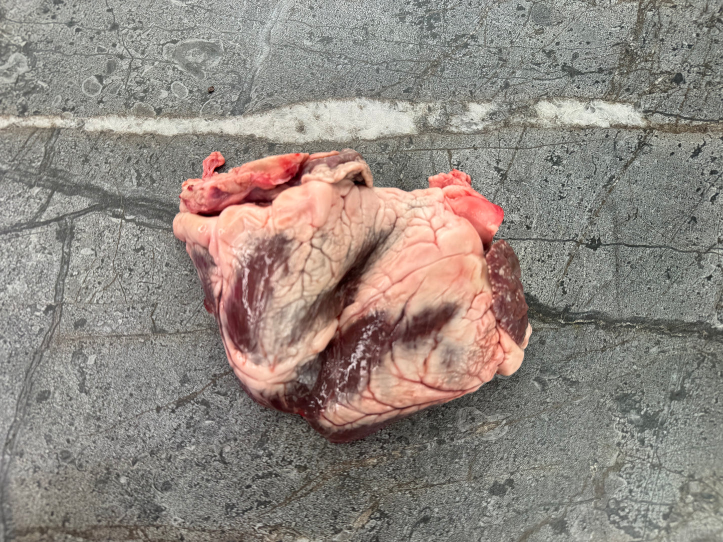 Lamb Heart