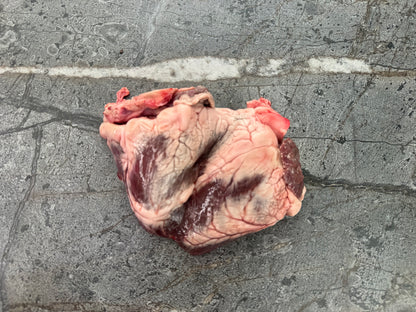 Lamb Heart