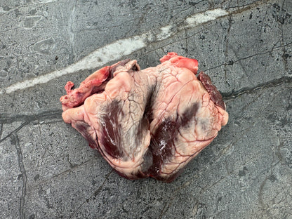 Lamb Heart
