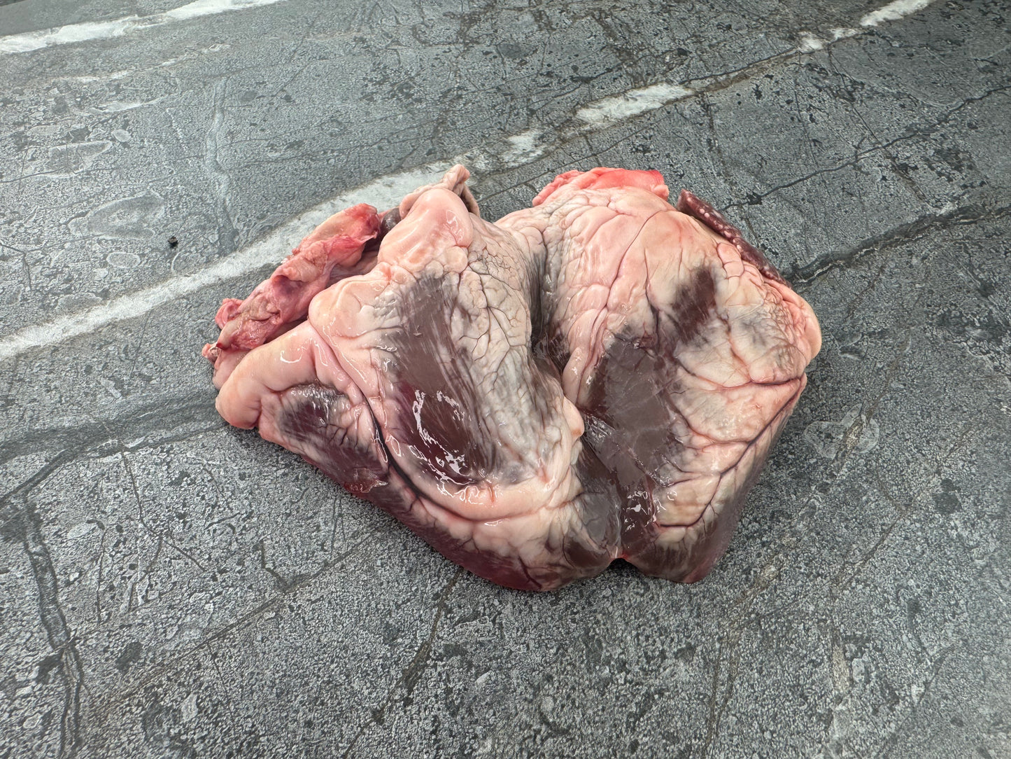 Lamb Heart
