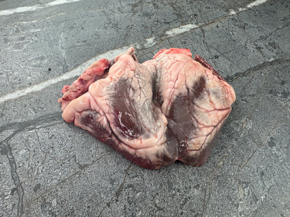 Lamb Heart