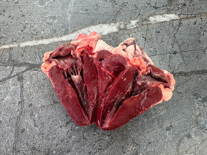 Lamb Heart