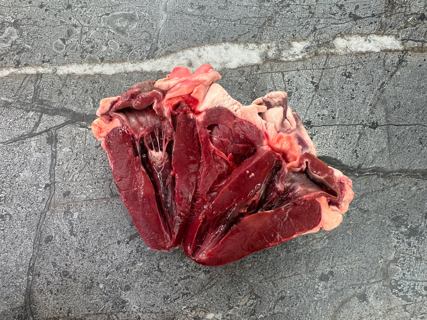 Lamb Heart