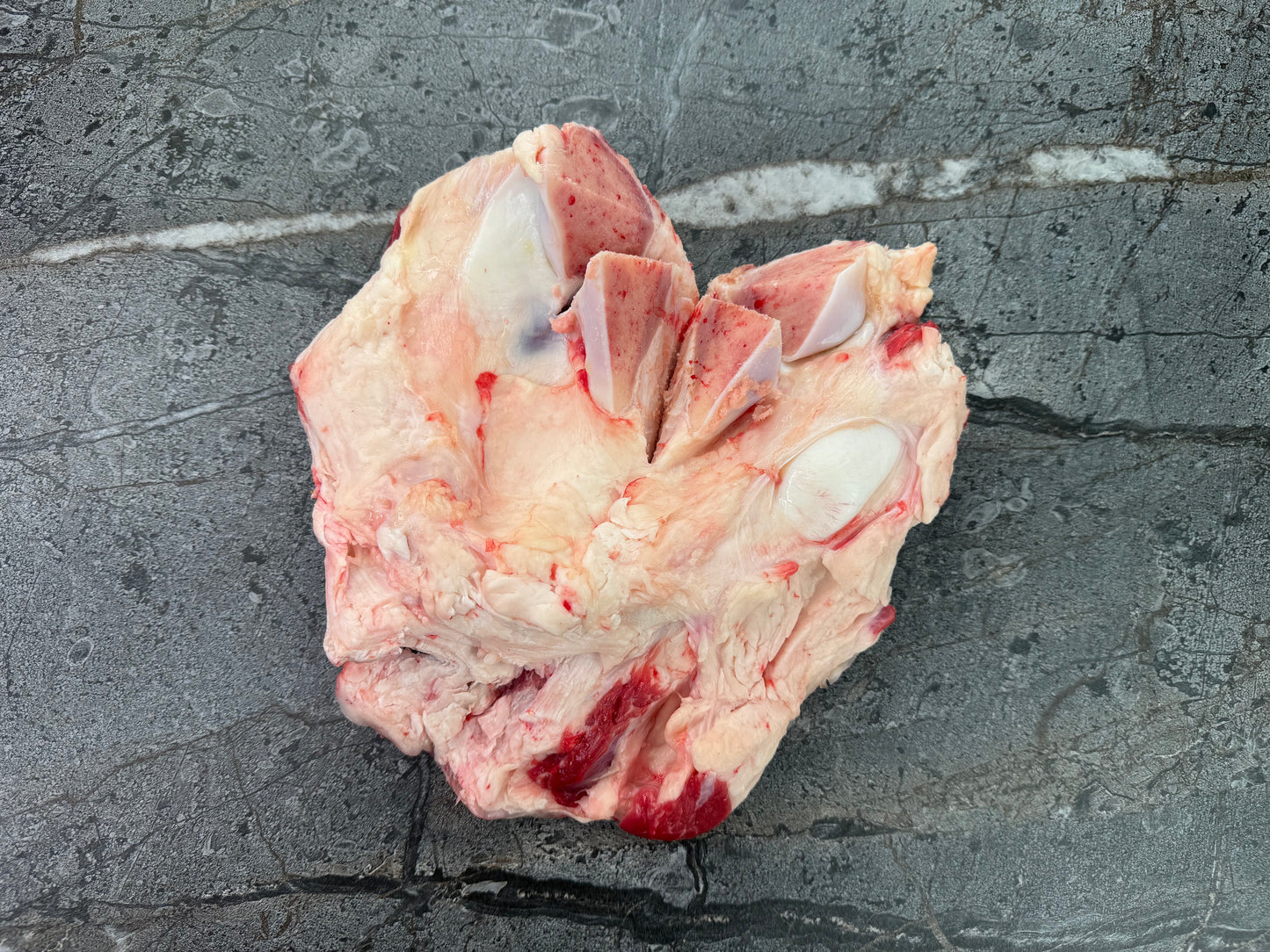 Colorado Chiquizuela / Knee Cap