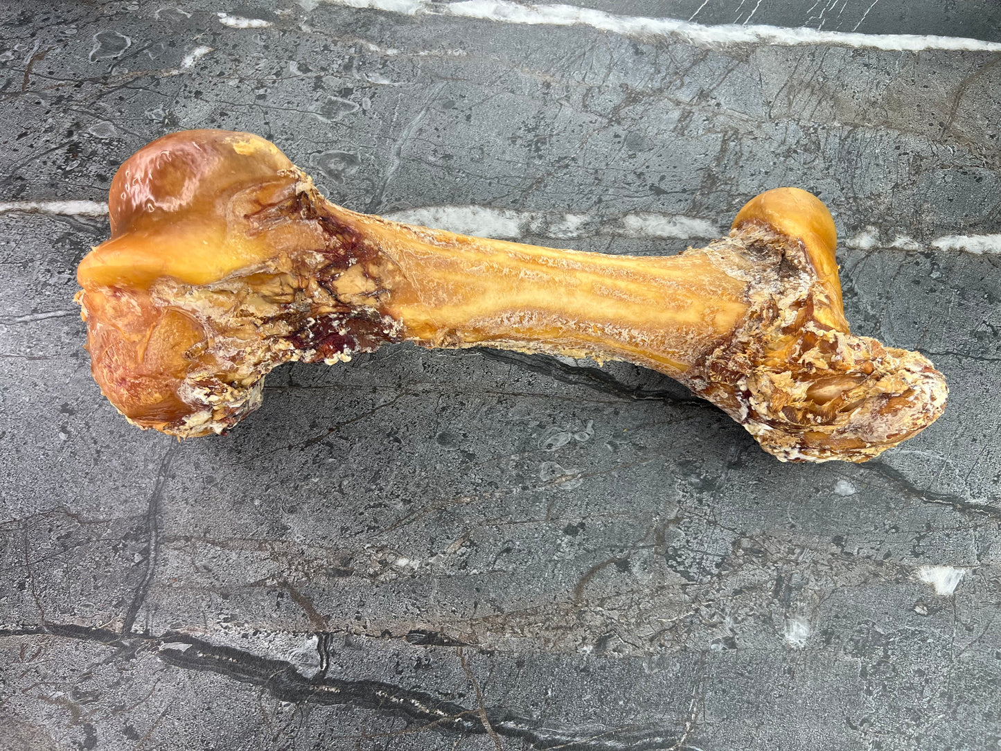 Titan Bone (Whole Femur)