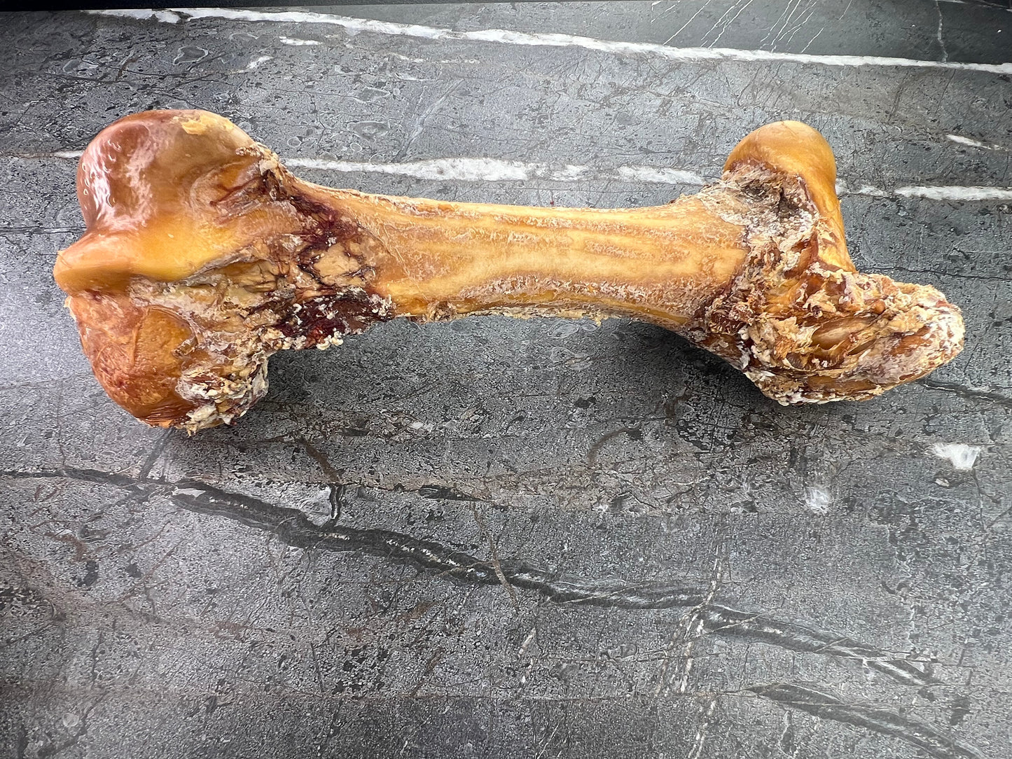 Titan Bone (Whole Femur)