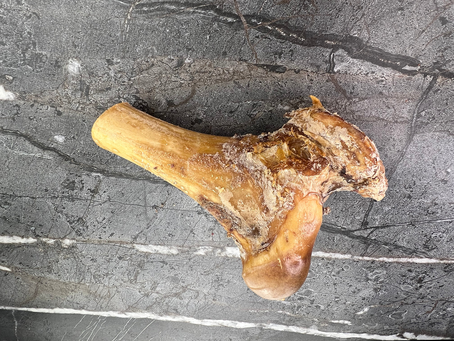 Midway Bone (Half Femur)