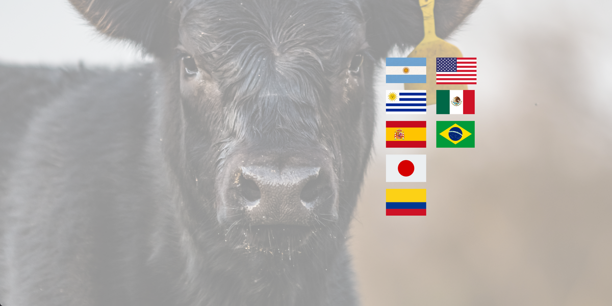 Cordobes Foods | A place, a story, a meat store.